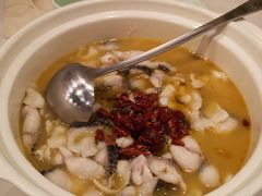 -蜀腾川·火锅鱼.烤鱼(新世界城店)