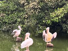 -广州海洋馆