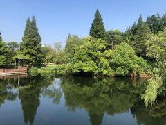 -上海滨江森林公园