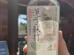 -莲池书院博物馆