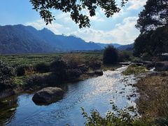 -中国茶叶博物馆(双峰馆区)
