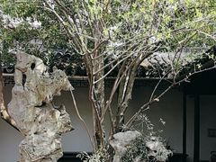 -西园戒幢律寺