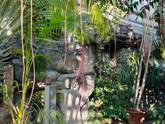 -国家植物园南园