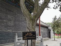 -关林