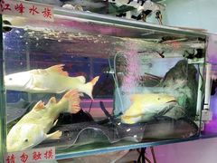 -华声天桥民俗文化园