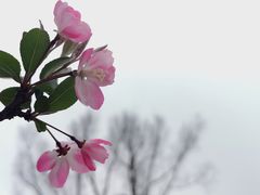 -黄兴公园