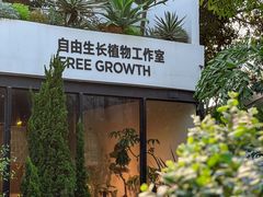 -自由生长植物工作室(深港花卉中心店)