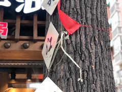 -王婆乔鲜鱼自助火锅(蜀汉路店)