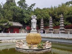 -泰山风景名胜区-普照寺