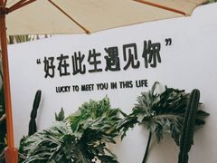 -云里小坐·小院里·团建·宴请·下午茶(三圣乡店)