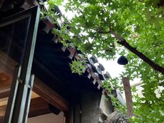 -VOYAGE COFFEE(杨梅竹店)