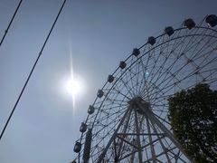 -花博汇(知音花月夜)