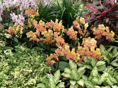 -北京植物园-展览温室