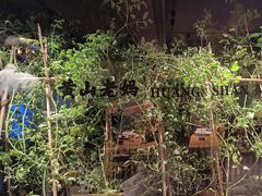 -黄山老妈·土菜(碧桂园店)