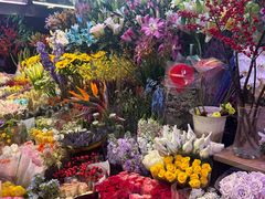 -花鸟鱼虫鲜花绿植市场(玉泉路店)