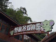 -野象谷景区