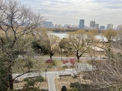 -莲花池公园