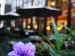 -杭州城中香格里拉大酒店
