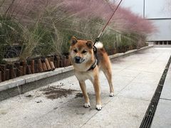 -何记花甲(印象城店)