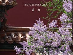 -故宫博物院(故宫)