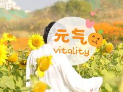 -映月湖中央公园