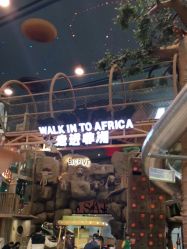 -卡通尼·Safari非洲探索乐园·生日会(金桥国际商业广场店)