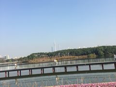 -海珠湖公园