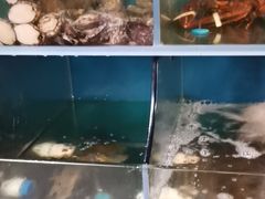 水产区-陈仔广式海鲜烧烤大排档