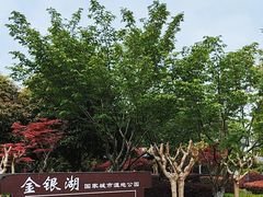 -金银湖国家城市湿地公园