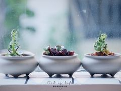-旧屋咖啡(海景店)