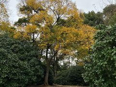 -钟山体育运动公园