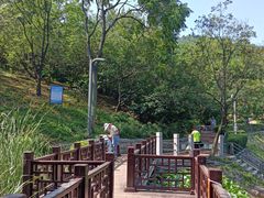 -北岭山森林公园