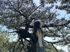 -罗田薄刀峰风景区