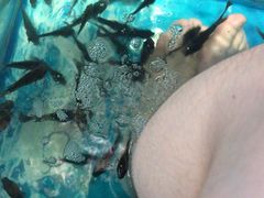 -泰国鱼疗足疗馆