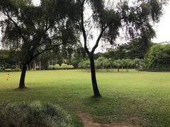 -东风公园