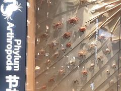 -中国湿地博物馆