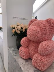 -Dr.U博士医疗美容医院