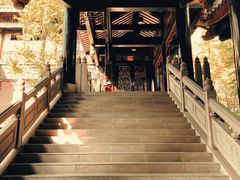 -乐山乌木文化博览苑