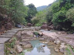 -广州白江湖森林公园