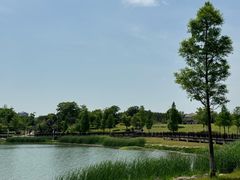-九龙湖公园