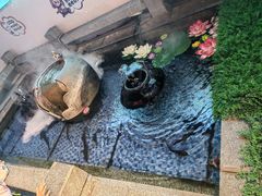 -龙泉小镇(科圣路店)