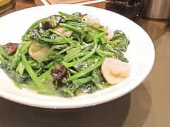 -東大方(武康千秋广场店)