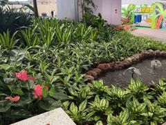 -青岛胶东国际机场