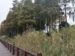 -苏州太湖湖滨国家湿地公园