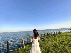 -七的湖·晚芳亭·阳澄湖农家菜·大闸蟹(莲花岛店)
