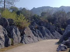 -千岛湖石林