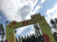 -莲花山花海