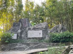 -东莞市大岭山森林公园