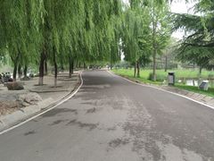-石家庄市植物园