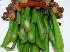 菜心炒鸽杂-大鸽饭(北京路店)